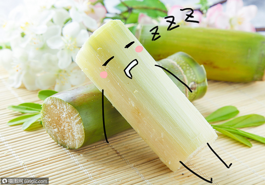 甘蔗躺葉子 可愛高清圖片素材欣賞