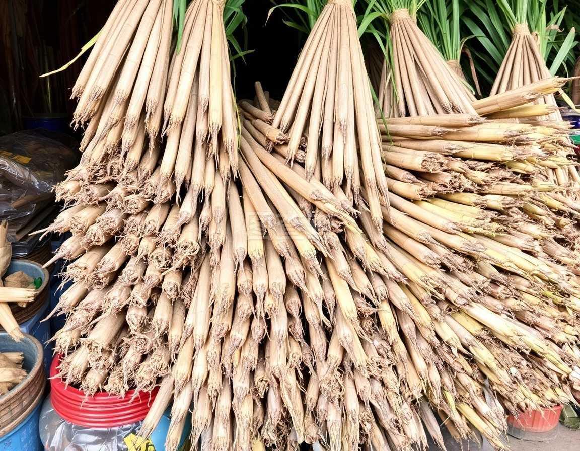 甘蔗 甜蜜的象征與多元之用的自然饋贈