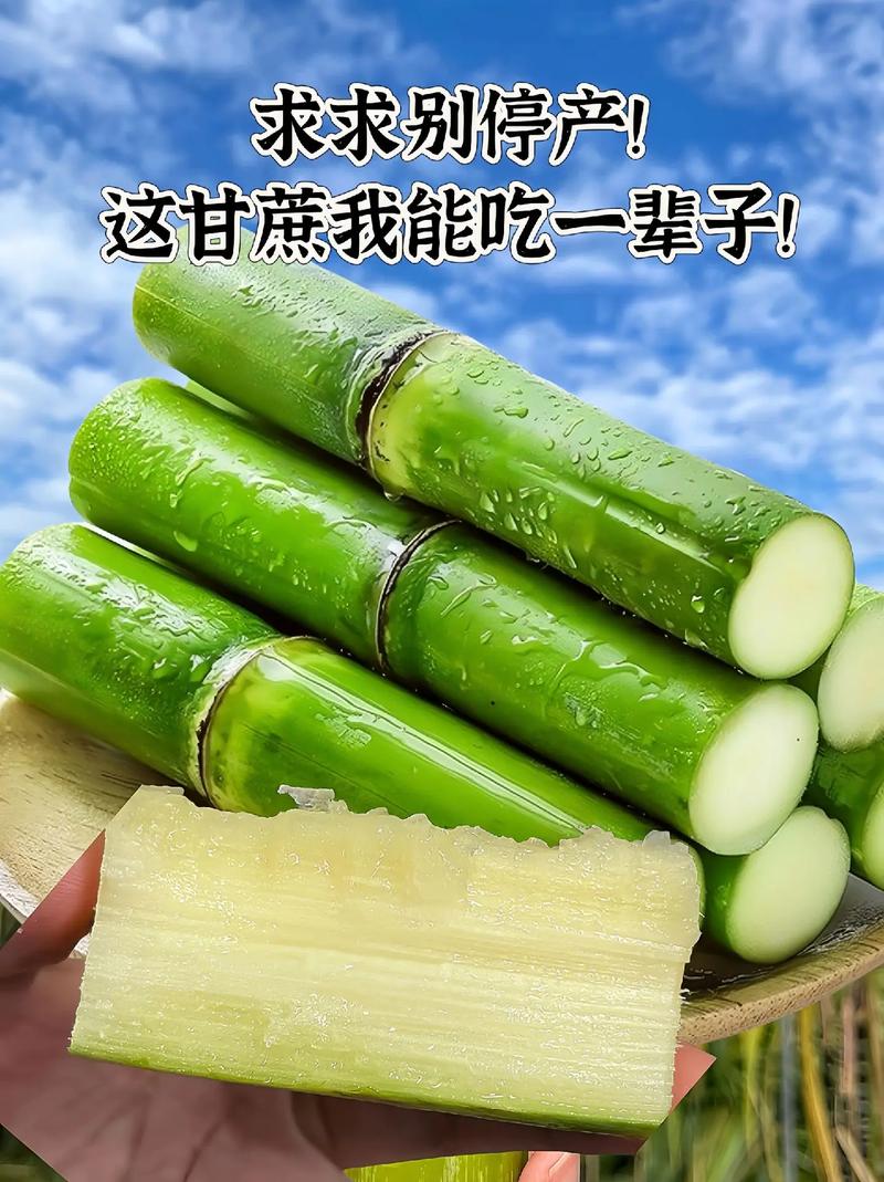 我宣布 以后只吃陶山脆皮甘蔗！